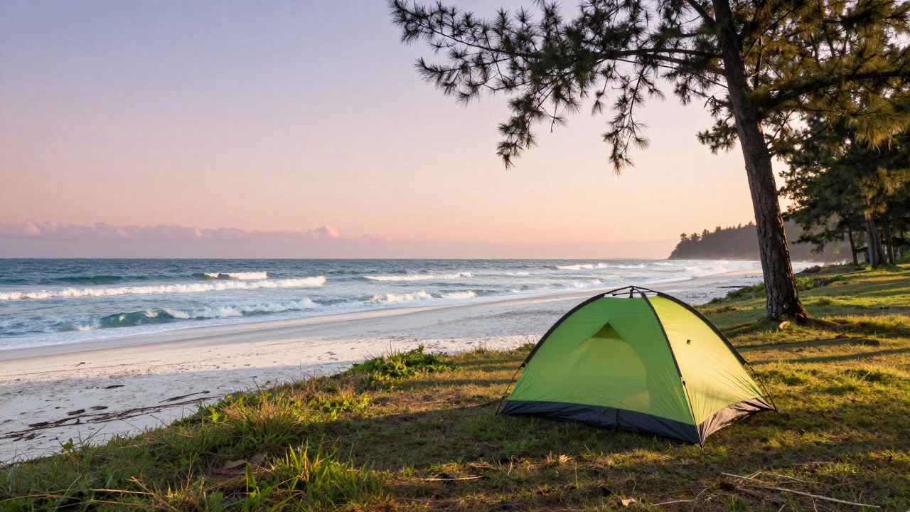 Edisto Beach State Park Camping Costs: Fees, Reservations & Tips for 2026